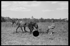 0067_ Resettlement farmer with harrow