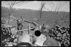 0127_Chopping wood for the schoolteacher, Shenandoah