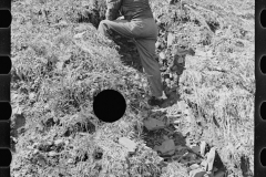 0221_ Man on hillside farm land   Garrett County, Maryland