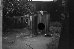 0305_Backyard privy, Washington, D.C.,