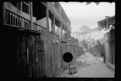 0320_Alley inhabited by African-American families ,Washington, D.C.