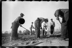 0341_Transient labour clearing land. Prince George's County