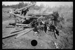 0344_Land clearance , Prince George's County, Maryland