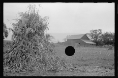 0465_Farm, large barn, clearing field / crop gathering