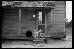 0586_Sharecroppers  children  , possibly Irwin County , Georgia