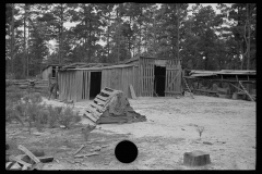 0587_Lumber yard , possibly Pike County Mississippi