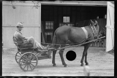 0641_Horse and tub cart , Irwin County, Georgia