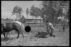 0654_,Resettlement farming ,  Grady County , Georgia