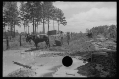 0656_ Land improvement ,  Grady County , Georgia