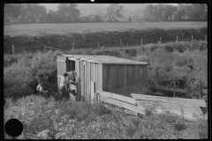 0771_Probably Sharecroppers, West Virginia