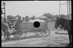 0822_Waggon load of cotton  Moundville, Alabama