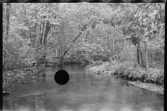 0885_Tranquil river scene , possibly Au  Sable river, Michigan