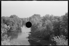 0894_Tranquil river scene , possibly Au  Sable river, Michigan