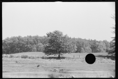 0901__Flooded pasture , unknown location, 