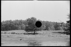 0902__flooded pasture , unknown location, 