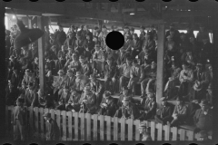 1038_ Livestock Auction , Reedsville, West Virginia