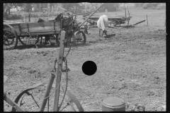 1048__Random old farm machinery and steer , probably Ohio