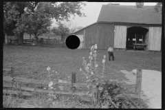 1073_ Farm  ( probably wheat ) central Ohio