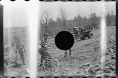 1130_Convicts grading the road , Jefferson County , Alabama