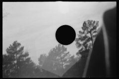 1133_Spoiled negative
