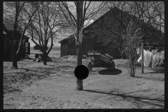 1170_Large barns on a farm property , probably Massachusetts