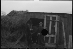 1196_Subsistence farmer and mule . Location unknown