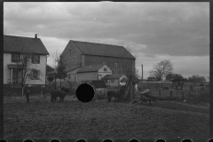 1220_Traditional ploughing behind houses 