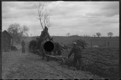 1221_Traditional ploughing with a pair of horses