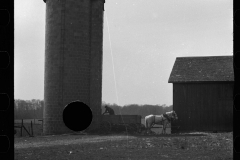 1266_Farmer  horse drawn cart , Anton Weber's Farm,  Tomkins County , New York State