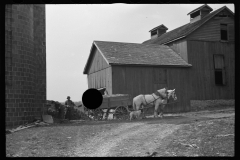 1267_Farmer  horse drawn cart , Tomkins County , New York State