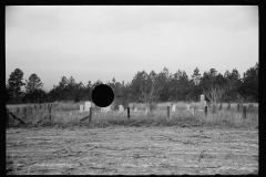 1389_ Isolated cemetery , possibly near Hoffman , North Carolina