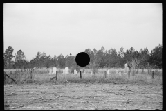 1390_Isolated Cemetery , possibly near Hoffman , North Carolina