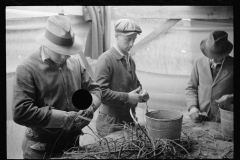 1405_Probably propagating cotton, unknown location