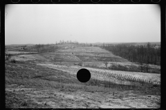 1455_Snowy open landscape, farming land , probably Tennessee