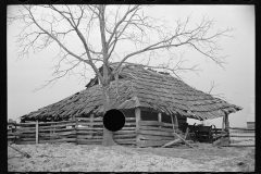 1459_Tumbledown , farm equipment store , probably Tennessee