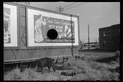 01559_Advertising hoardings probably , Omaha , Nebraska