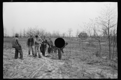 01575_Possibly planting Black Locust , Natchez Project  , Tennessee