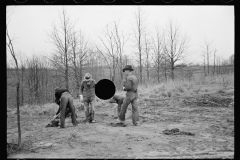 01578_Planting Black Locust , Natchez Project  