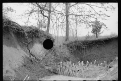 01584_Erosion control on Natchez Trace Project , Lexington 