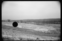 01586_Erosion control Coalins Forest , Western Kentucky