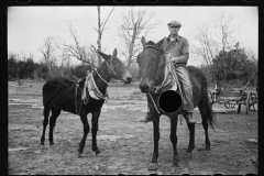 01600_Unknown farmer with horses, unknown location