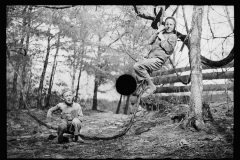 1614_Young boys climbing trees , unknown location