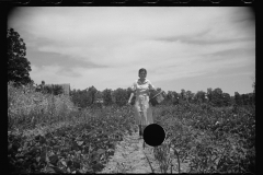 1634_Rehabilitation client picking peas  Batesville, Arkansas