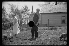 1642_ Domestic  crops ,Granger Homesteads , New York State