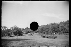 1674_Wagon of hay; hay-making  , Vermont