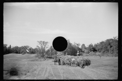 1675_Wagon of hay ; hay-making , Vermont