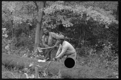 1732_African-Americans about to cut felled tree with axes