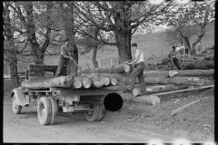 1805_Loading truck with  felled timber ,   Vermont