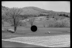 1822_Ploughing alongside open ground ,