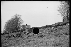 1840_Steep aspect with tree stumps , location unknown